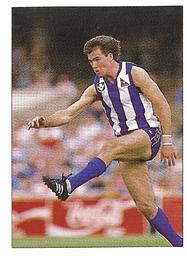 1990 Select AFL Stickers #178 John McCarthy Front